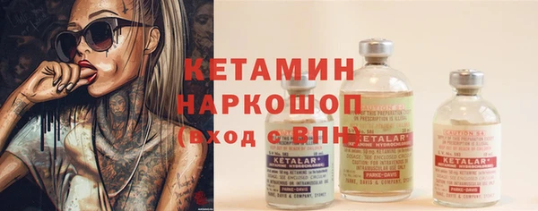 крисы Бронницы