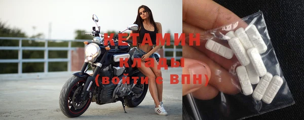 крисы Бронницы