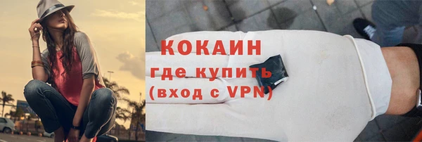 бошки Бородино
