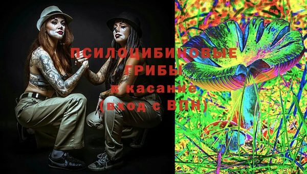 бошки Бородино