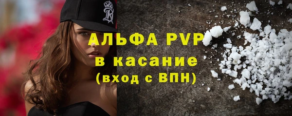 крисы Бронницы