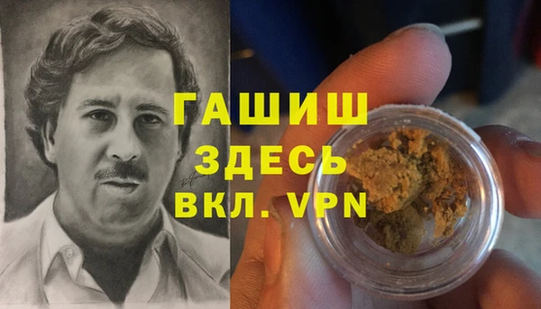 бошки Бородино