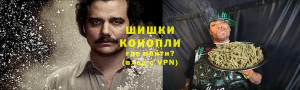 бошки Бородино