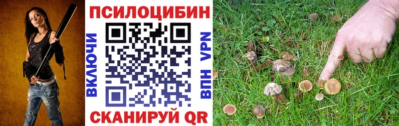 Псилоцибиновые грибы Psilocybe  купить наркотик  Рубцовск 